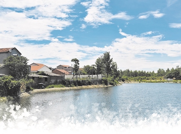 从捂鼻绕行到塘边垂钓 武汉139条农村黑臭水体年底“清”仓