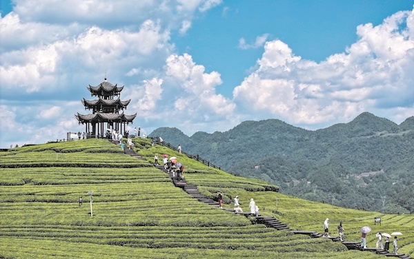 湖北乡村摄影潮：光影绘就振兴新图景