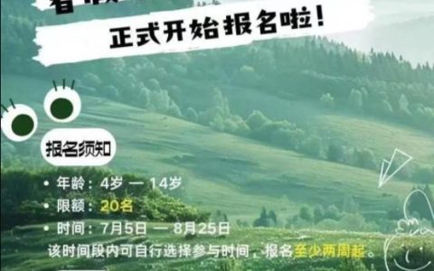 极目锐评丨大理苍山走失8岁男童身亡，“明日之光”何以成绝命之旅？