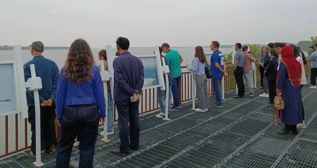 “国际青年长江行”活动走进石首 领略长江生态之美