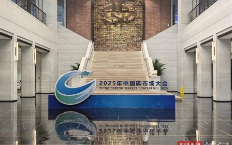 联合国助理秘书长点赞中国碳市场：已走在前列