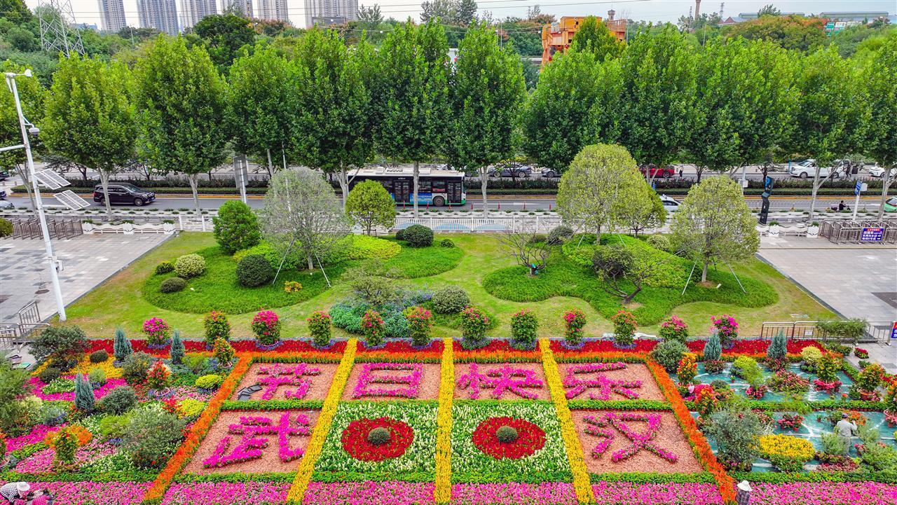 花儿映红盛世，笑颜祝福祖国！30处园林精致小景闪耀武汉街头