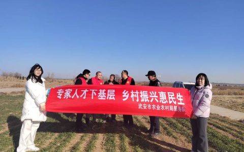 惠及800多农户，杨林尾镇返乡“新农人”郭四华——把稻田种成“金土地”