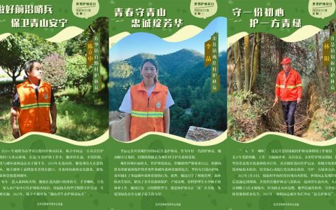 毛嘴镇推进林长制落地见效