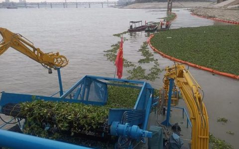 水利工程疏浚公司组织机械打捞河面水葫芦