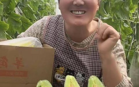 农妇袁媛瓜地直播带货 农产品“上线”多卖出百万元
