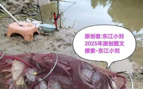 楚渔农：鲜鱼“跃”向高附加值