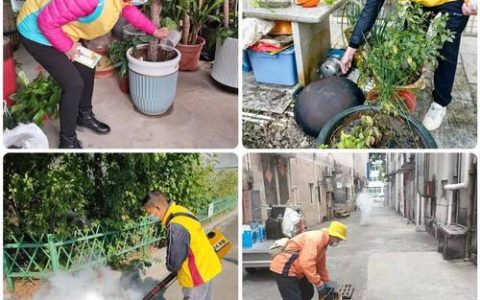 通海口镇扎实开展防蚊灭蚊专项行动