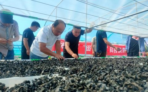 湖北省农业科学院畜牧加工专家一线开展科普服务