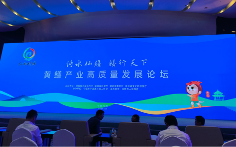 中国渔业协会黄鳝产业分会在仙桃成立