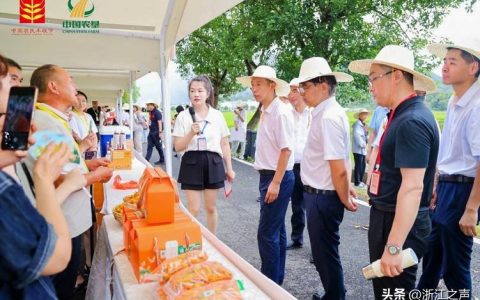 2025中国农民丰收节湖北主场活动在仙桃举行