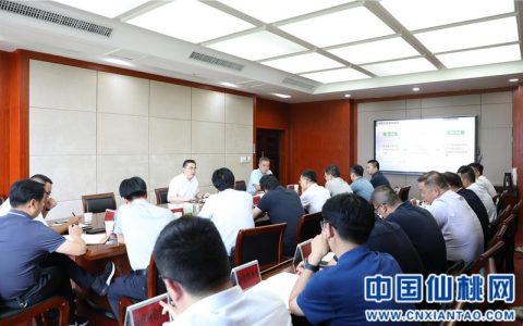 市委书记孙道军主持专题会议 听取专项规划情况汇报