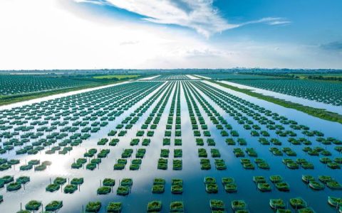 解决标准不匹配难题 仙桃助力企业拓展海内外市场