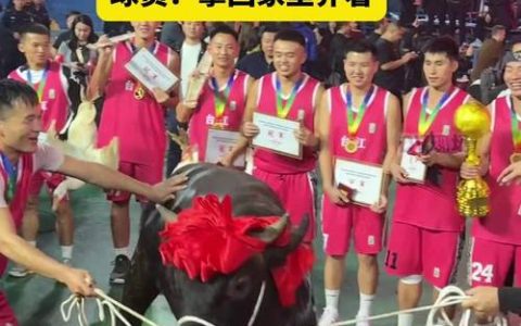 “村BA”激情收官 河口村江北村夺冠喜提一头沔城牛