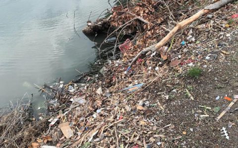 张沟镇开展河道水草垃圾集中清理行动