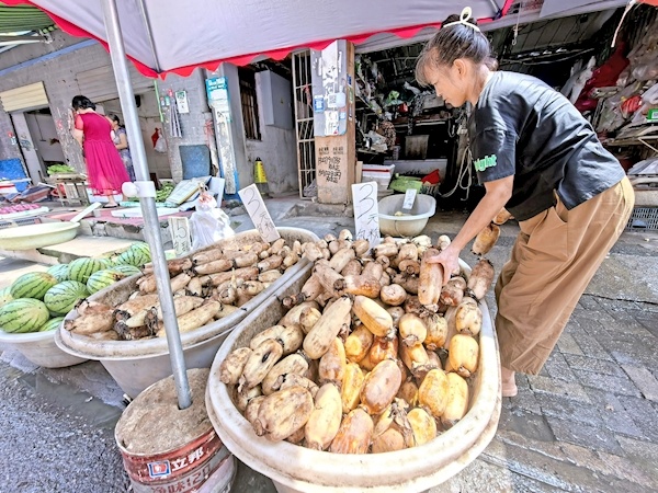 秋天的第一碗藕汤来了 喜欢吃粉藕的朋友看过来 这一款煨出粉藕的“偏方”请查收