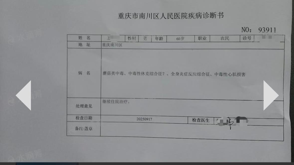 重庆一家七口误食蘑菇中毒，60岁老人住进ICU，科普博主：吃的大青褶伞有剧毒