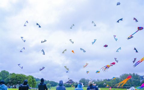 50余名全球放风筝高手都来黄陂了！ 风筝世界杯首秀武汉