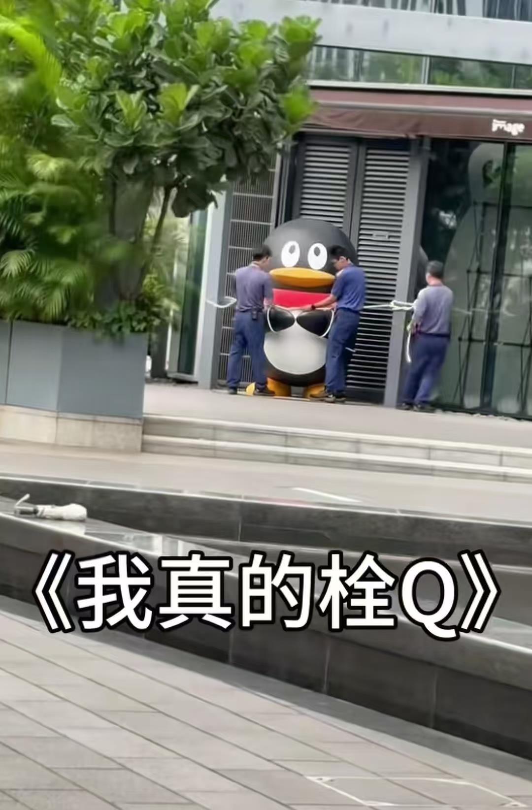 “拴Q”具象化了！现场实探：腾讯总部正门企鹅雕塑被绑起来防台风