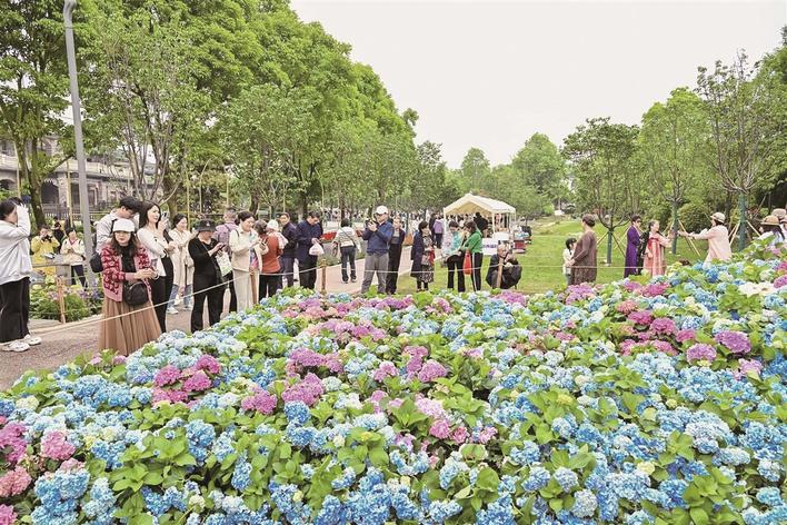 从垃圾场蝶变为人文自然旅游胜地 武汉园博园10岁了 9月25日免费开放