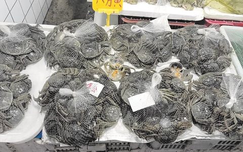 秋风秋雨送秋蟹，马上螃蟹吃个够 外地蟹陆续“爬”上市民餐桌