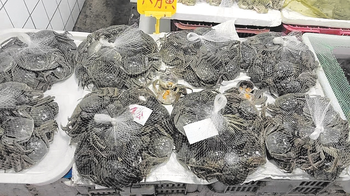 秋风秋雨送秋蟹,马上螃蟹吃个够 外地蟹陆续“爬”上市民餐桌