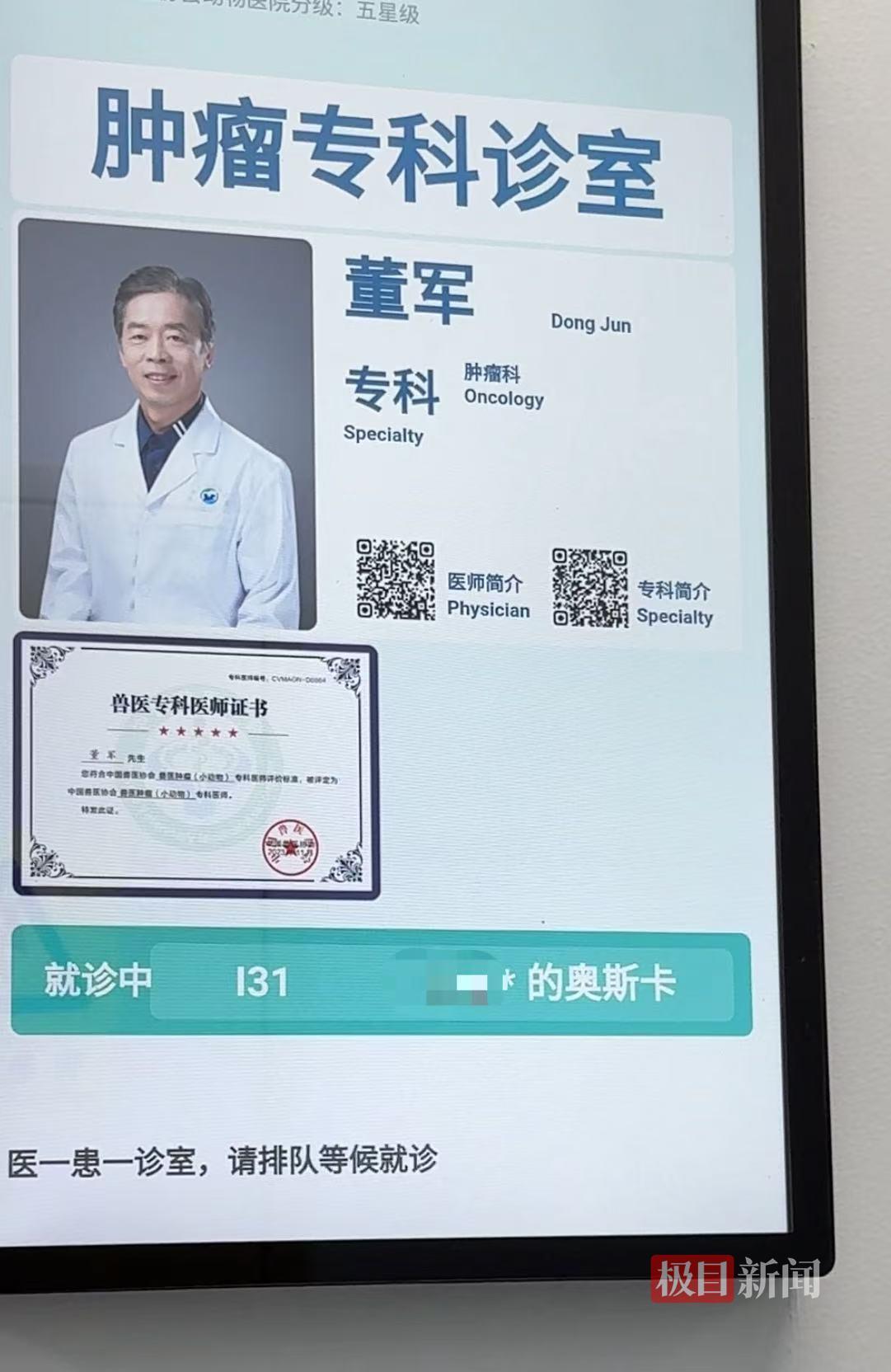 实探年接诊超10万病例的“宠物界协和”：教授坐诊、一医一患，有主治医生提前4天号就被抢光，还能给“毛孩子”做针灸熏艾