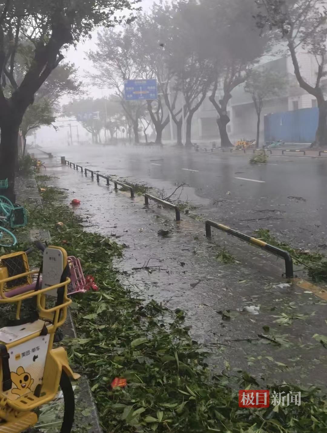 台风桦加沙袭击珠海：记者眼镜被大风吹跑，街边树枝断落，单车成排倒地