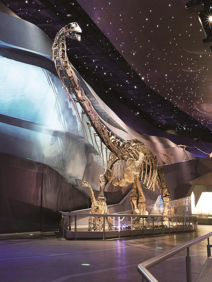 从垃圾场蝶变为人文自然旅游胜地 武汉园博园10岁了 9月25日免费开放