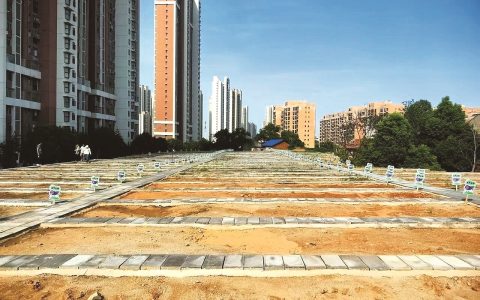 数千平方米脏乱闲置荒地变成绿色共享空间 光谷佛祖岭“共享菜园”开园