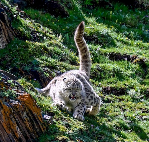 “影动长江”全国主题摄影大展邀您品赏 一瞬光影裁江色 千秋气象入镜头