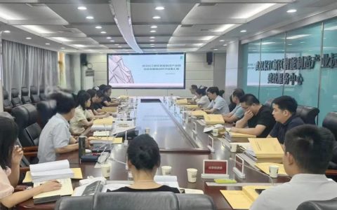 长江新区智能制造产业园规划环评通过专家评审