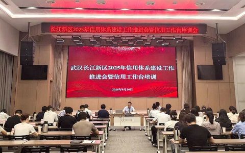优化营商环境 | 长江新区召开2025年社会信用体系建设工作推进会​