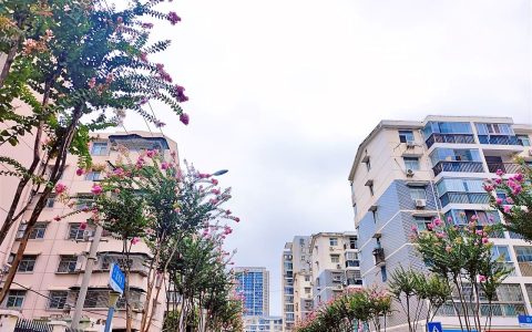 从初夏笑傲到初秋 武汉新添一条紫薇花特色路