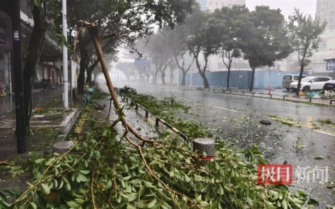 台风桦加沙袭击珠海：记者眼镜被大风吹跑，街边树枝断落，单车成排倒地