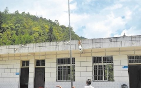 全校只有3个学生和1名老师 这所深山小学的开学典礼国歌嘹亮