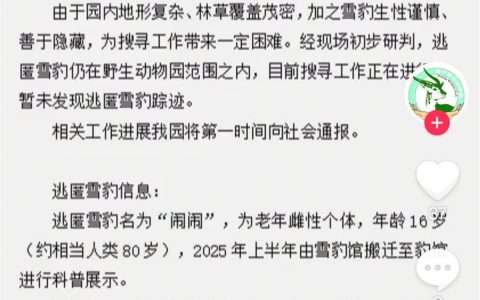 西宁野生动物园一雪豹出逃，老年雌性个体，园方称搜寻工作正在进行，主管部门回应