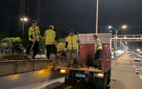 深夜，武汉园林人上路修枝整叶