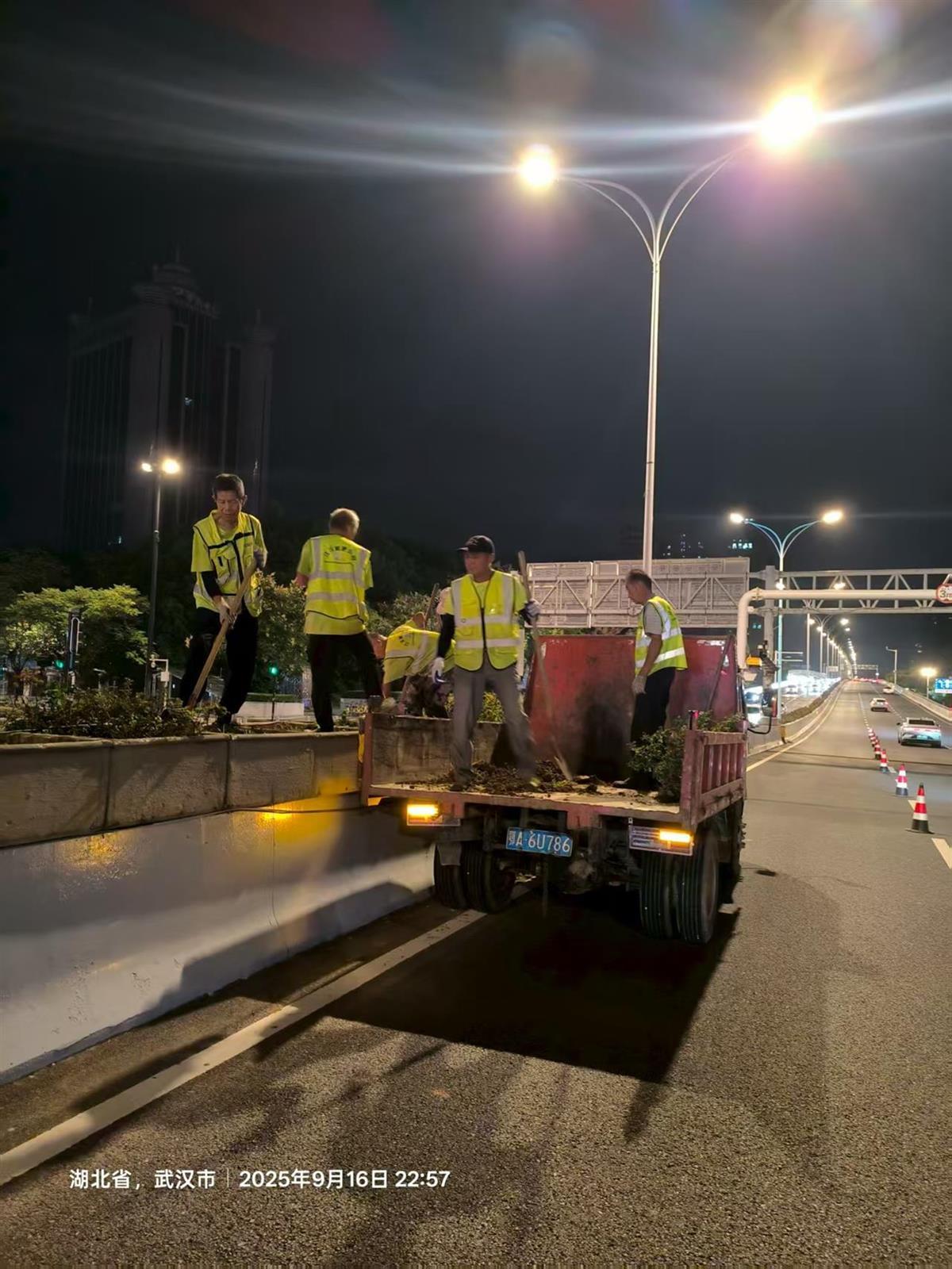 深夜，武汉园林人上路修枝整叶