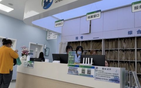 实探年接诊超10万病例的“宠物界协和”：教授坐诊、一医一患，有主治医生提前4天号就被抢光，还能给“毛孩子”做针灸熏艾