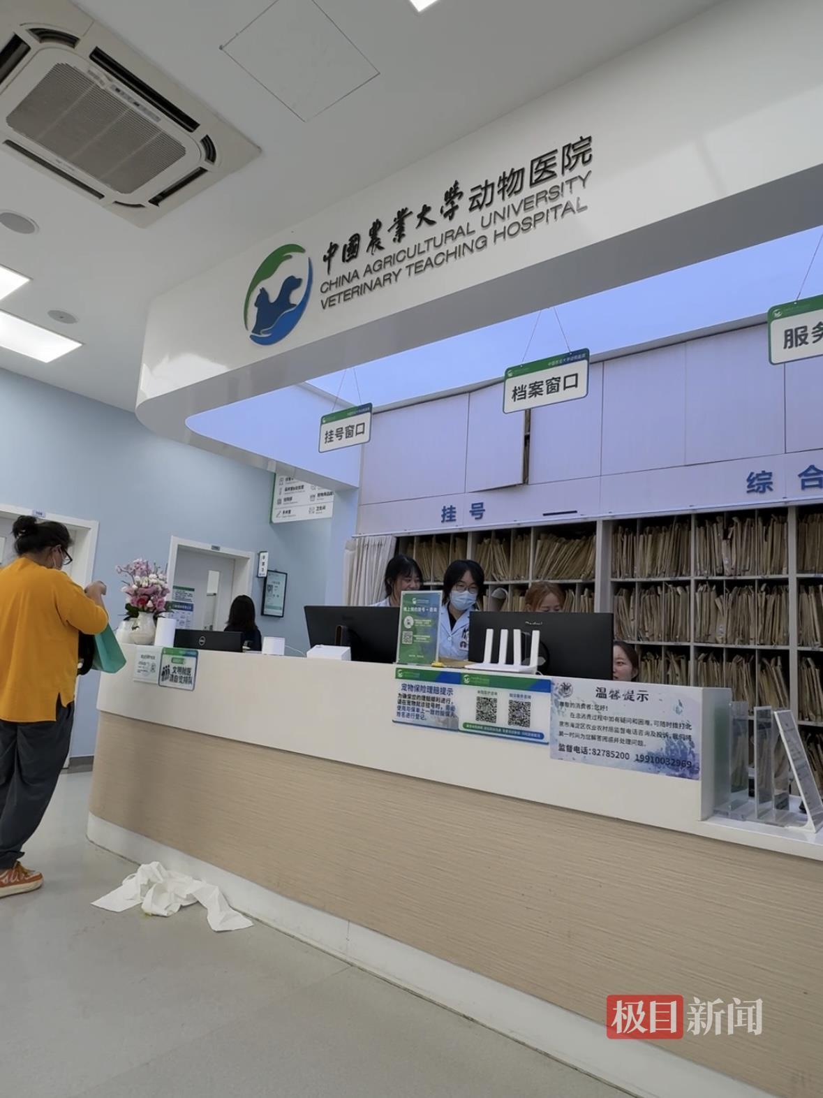 实探年接诊超10万病例的“宠物界协和”：教授坐诊、一医一患，有主治医生提前4天号就被抢光，还能给“毛孩子”做针灸熏艾