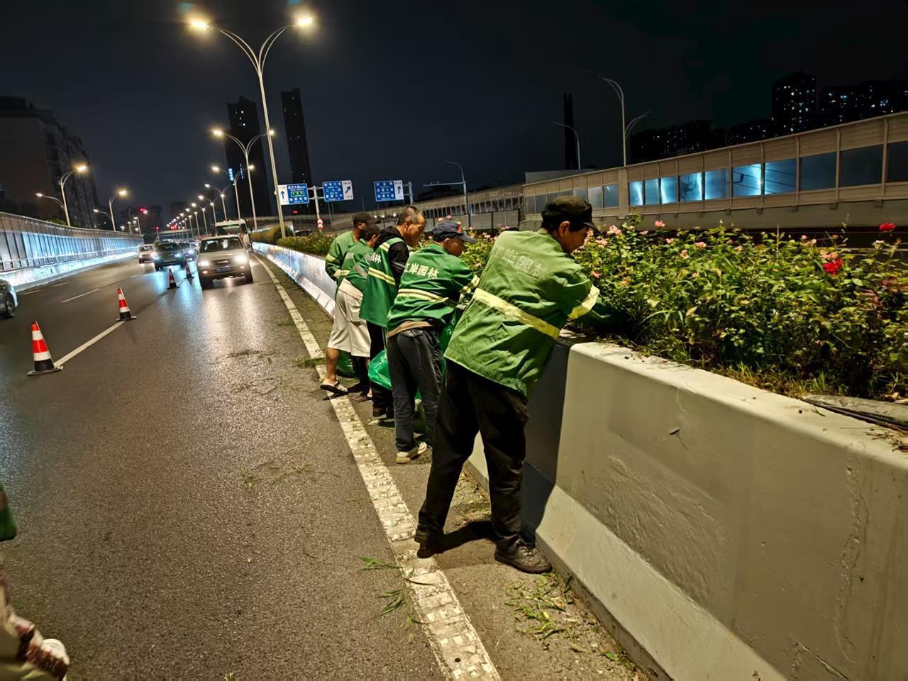 深夜，武汉园林人上路修枝整叶