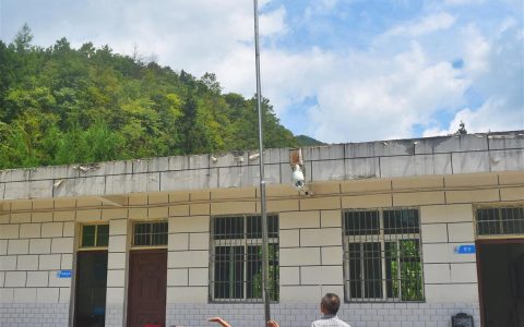 恩施大山里的“最小教学点”开学，全校3个孩子1名老师高唱国歌庄严敬礼