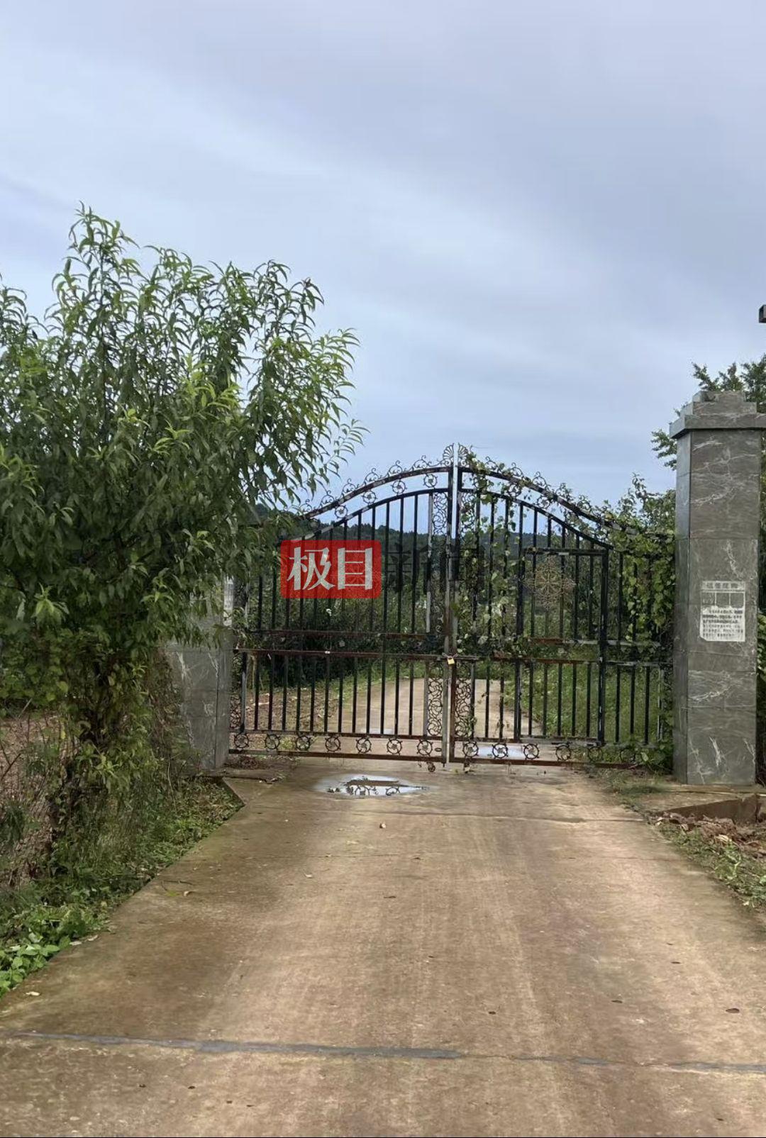 实探网红“唐飞机”坠机地：位于一片果园内，村民看直播发现坠机后前往灭火