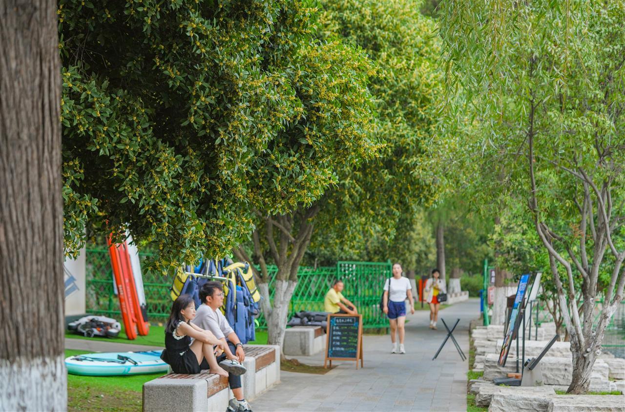 武汉东湖听涛泳场：桂香漫湖畔，游客打卡醉金秋