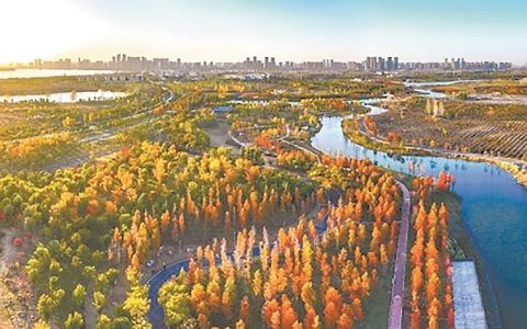 襄阳迎来踏秋赏景最佳期 游客纷至感受秋日魅力