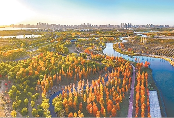 襄阳迎来踏秋赏景最佳期 游客纷至感受秋日魅力