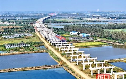 武汉六环线“巨龙”现雏形