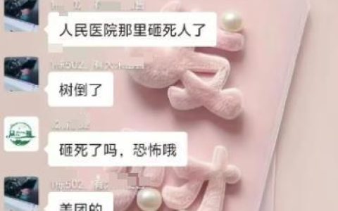 茂名一外卖小哥被台风吹倒的树木砸死？当地辟谣