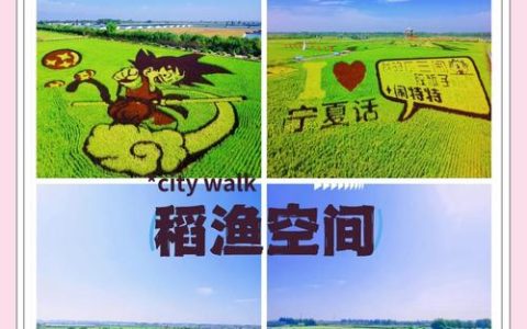 渔泛稻田乡野寻趣